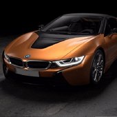 Real BMW Driving Simulator 2019 icon