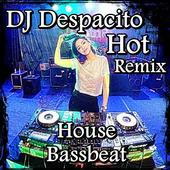 Hot Remix DJ Despacito Full icon