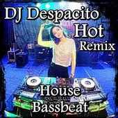 Hot Remix DJ Despacito Full