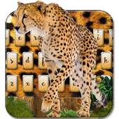 Cheetah keyboard theme