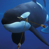 Real Blue Whale Challenge Hunt icon