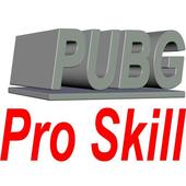 PUBG PRO SKILLS icon