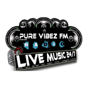 PURE VIBEZ FM icon