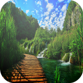 Free Wallpapers For Oppo icon