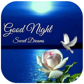 Good Night Stickers icon