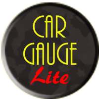 Car Gauge Lite OBD2