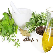 ঔষধি গাছের গুনাগুন/উপকারীতা icon