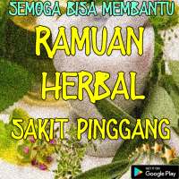 Ramuan Herbal Sakit Pinggang on 9Apps