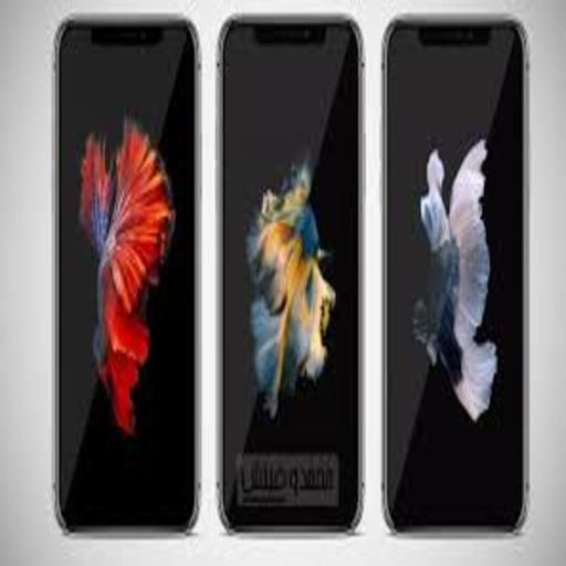 Wonderful wallpapers for 2020 screen icon