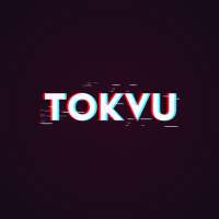 TokVu - TikTok Video Downloader