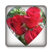 Hindi Romantic messages free icon