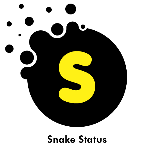 Snack Video Status 2020 icon