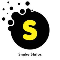 Snack Video Status 2020