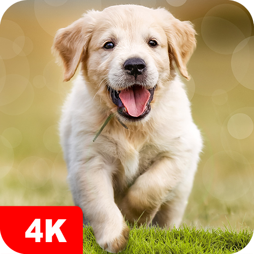 Dog Wallpapers &amp; Puppy 4K أيقونة