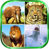 Animals Sounds on 9Apps