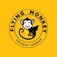 Flying Monkey Cricket League