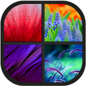 Beautiful Theme and Launcher icon