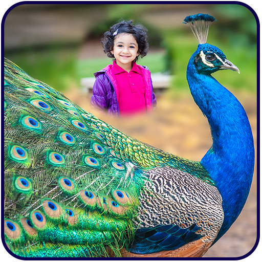 Peacock Photo Frames icon