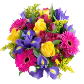 Komai Namata ne أيقونة