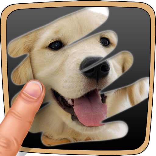 Animal Quiz. Scratch Trivia Game icon