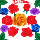 Flower Sticker Roses Sticker WAStickerApps