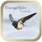 ikon Pemanggil Walet Terbaik