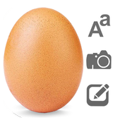 World Record Egg Photo icon