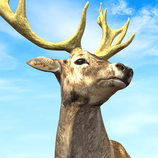 Hunting King : Wild Archery icon