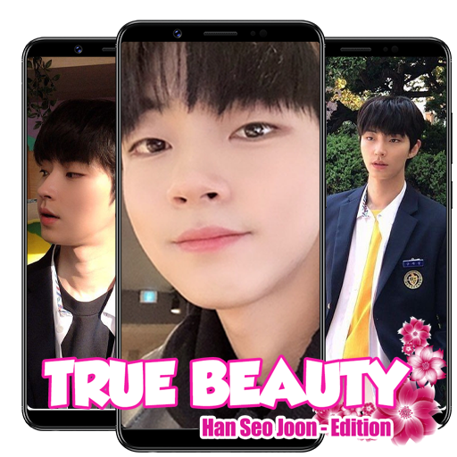 Han Seo Joon - True beauty Live Wallpaper icon
