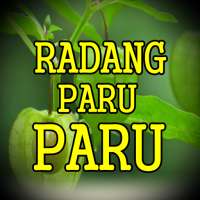 Ramuan Herbal Radang Paru Paru Paling Alami on 9Apps