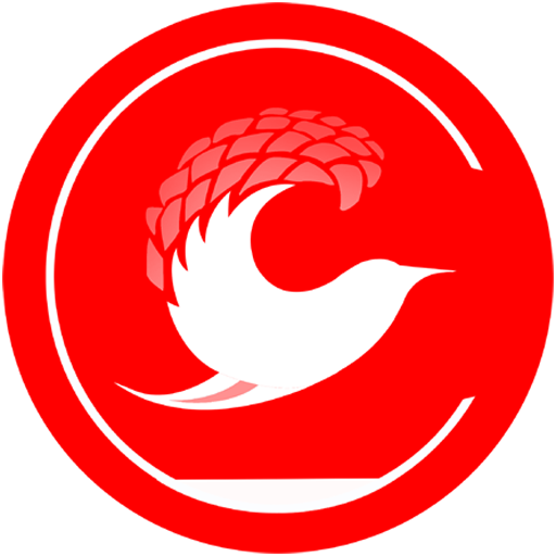 Citi Cabs Driver icon