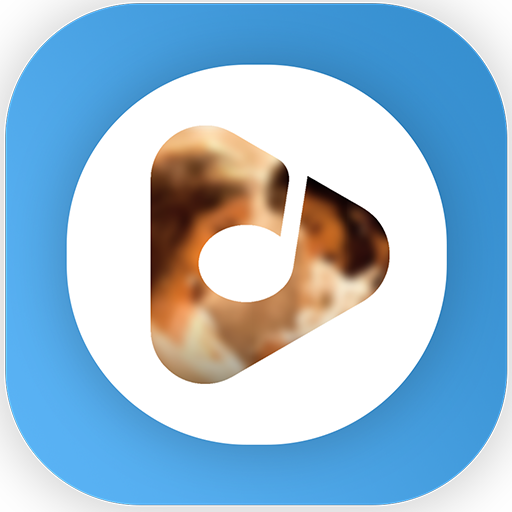 Video Songs Status , Funny video, latest video icon