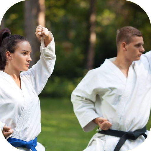 Karate Belts icon