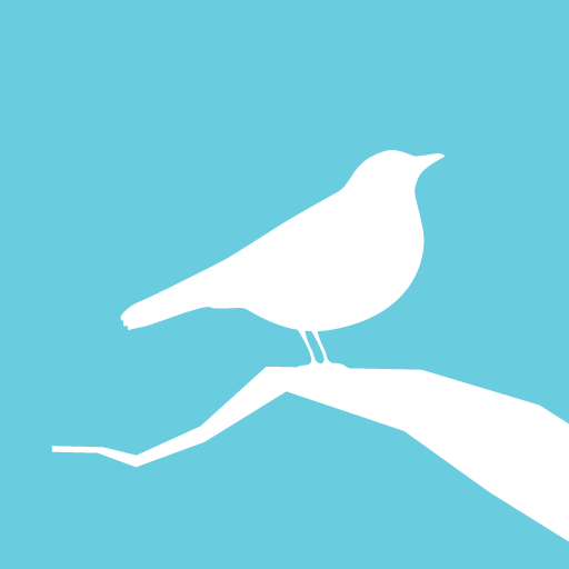 Animated Birds icon