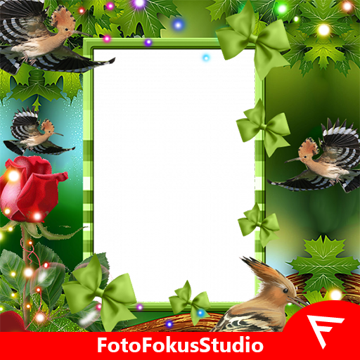 Hoopoe Insta DP icon