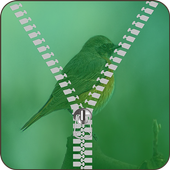 Bird Zipper Lock Screen icon