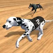 Sprint 100 Meter Dog Racing icon