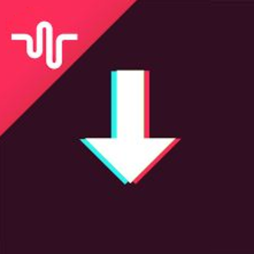 Video Downloader for Tik Tok - no watermark icon
