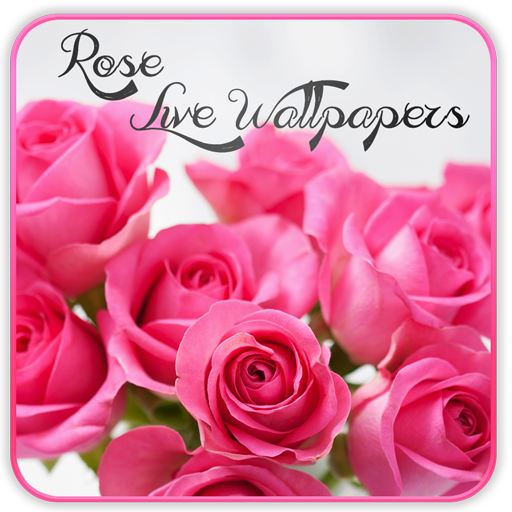 Rose Live Wallpaper icon