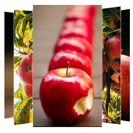 Apple Wallpaper icon