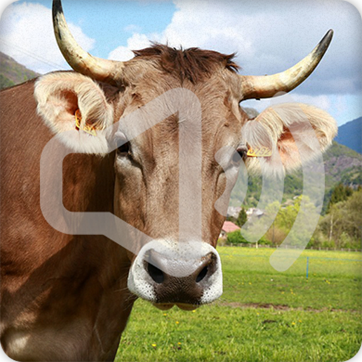 Cow Sounds Ringtone иконка