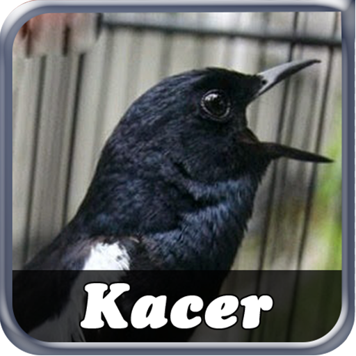 Bird Kacer Sing complete icon