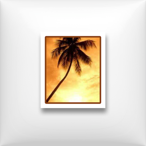 3D Gallery 3 Manager icon
