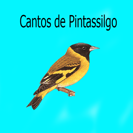 Cantos de Pintassilgo LITE 2 icon