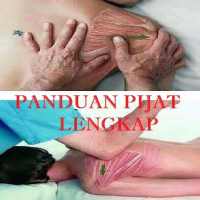 Panduan Pijat Lengkap on 9Apps