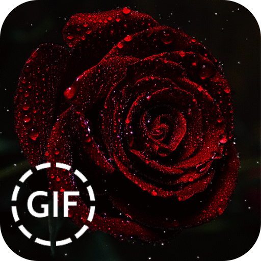 Love Rose Gif Image icon