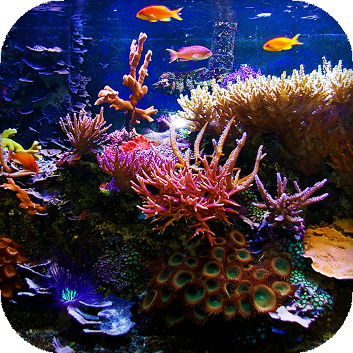 Aquarium Live Wallpaper - backgrounds hd icon