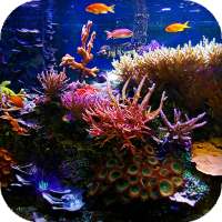 Aquarium Live Wallpaper - backgrounds hd on 9Apps