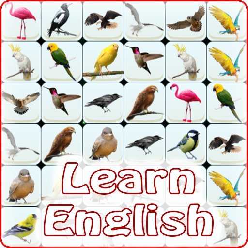 Onet Bird: Learn English icon