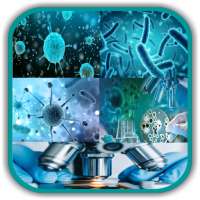 Medical Microbiology and Immunology - All in One on 9Apps